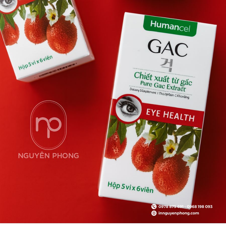in-hop-giay-dau-gac-gia-re-tai-ha-noi